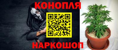 шишки Гатчина