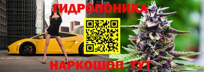 mix Гай