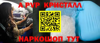 шишки Гатчина