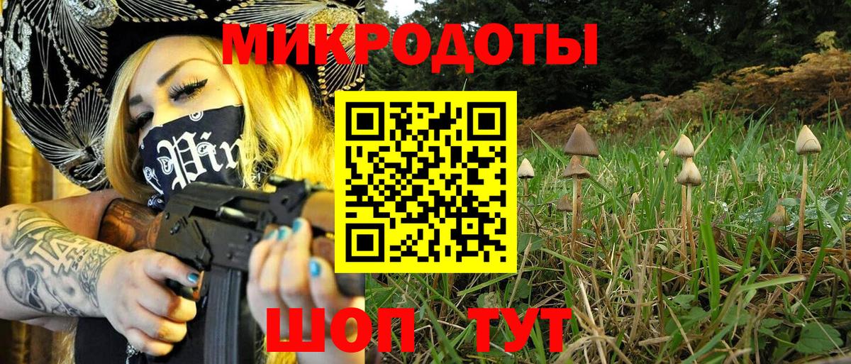 Галлюциногенные грибы Psilocybine cubensis Дербент